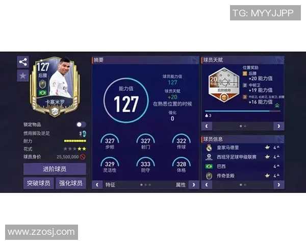 历史足球传奇：耀眼之星的辉煌篇章